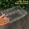 Caja de fruta PET desechable sin tapa caja de embalaje de fruta 1813H4 plástico transparente bandeja fresca