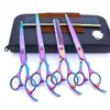 Tijeras de belleza para mascotas de 7.0 pulgadas color negro galvanizado 5 dientes de corte recto tijeras de corte curvo tijeras de hueso de pescado peine de fila en stock