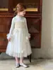 Vestido de Princesa Infantil de Manga Longa, Vestido de Tule com Babados Florais para Meninas, Vestuário Infantil de Comércio Exterior Transfronteiriço