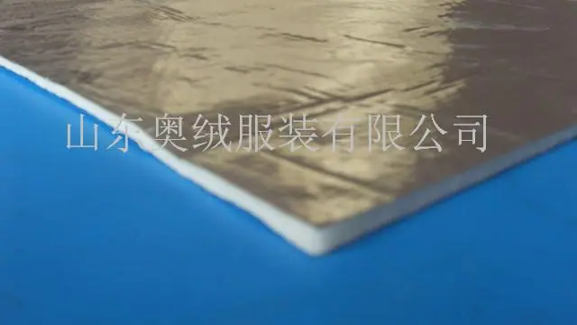 SDC13336