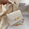 Bolsa das mulheres popular ins bolsa feminina 2023 estilo coreano clássico Fashion Net vermelho portátil pequeno quadrado saco mensageiro da corrente