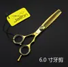 Jason Hc-02 Tijeras de Peluquería de Piedra Tijeras para Cortar el Cabello Tijeras Planas Tijeras para Flequillos Tijeras Adelgazadoras