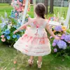 Vestido de Alça para Meninas 2026 Novo Estilo Vestido de Festa de Verão Infantil Vestido de Aniversário Vestido Princesa de Tule Bufante para Menina