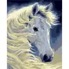 Dropshipping Transfronterizo Pintura al Óleo Digital al por Mayor Pinturas sin Marco 40X50 Amazon Wish Fábrica de Pintura Vestíbulo Ozon Caballo