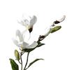 Flor Artificial Sencilla Magnolia de Cuatro Cabezas Flor Falsa Flor de Seda Boda Paisajismo Decoración Suave para el Hogar Fotografía Decoración de Jardinería Orquídea
