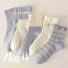 Calcetines de mujer de longitud media, calcetines de algodón, otoño e invierno, calcetines de cintura media, calcetines apilados de moda, medias de mujer, nuevo estilo, calcetines deportivos