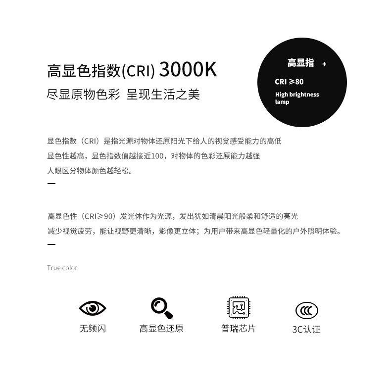 1011g_02.jpg