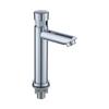 Grifo de Lavabo de Acero Inoxidable Galvanizado con Pulsador de Retraso Fábrica Ingeniería Hotel Lavabo Público Grifo Monomando de Agua Fría
