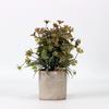 Plantas Artificiales en Maceta Amazon Maceta de Papel Cilíndrica Color Otoñal Eucalipto Escarchado Plantas Artificiales de Escritorio en Maceta