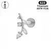 Pendientes de Aleación de Titanio G23 Forma de Hoja Lujo Accesible Simple Uña de Labio Uña de Hueso del Oído F136 Joyería de Piercing de Aleación de Titanio