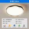 Lámparas para Toda la Casa 2025 Nueva LED Sala de Estar Luz Principal Lámpara de Techo Moderna Simple Estilo Crema Zhongshan Paquete Combinación