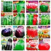 Gran número de semillas de hortalizas al por mayor huerto pimiento siembra de primavera semillas de hortalizas puesto de pepino colza