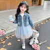 Vestidos para Niñas Primavera Otoño Chaqueta de Mezclilla Niña Pequeña Bebé Elsa Vestido de Princesa Falda de Malla Infantil Conjunto de Dos Piezas