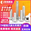 Tornillos de Cabeza Plana Grande Niquelados Tm con Ranura Cruzada Cabeza Redonda Plana de Hongo Tornillos para Máquina de Alambre Cabeza Paraguas Tornillos de Cabeza Plana Grande Personalización