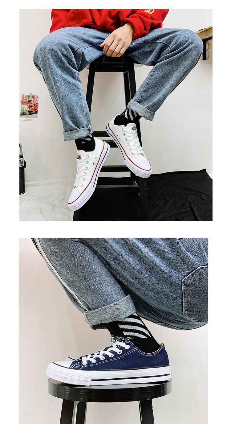 zr_14.jpg