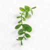 Accesorios de plástico para flores artificiales, ramas de eucalipto, plantas artificiales, ramas de flores pastorales, helechos decorativos, agujas de pino, plantas falsas