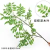 Hojas de Madera Barnizada Artificiales, Hojas de Madera que Cambian de Color, Adornos de Decoración para el Hogar de Interior, Proyectos de Arte Floral, Plantas Falsas para Escaparates