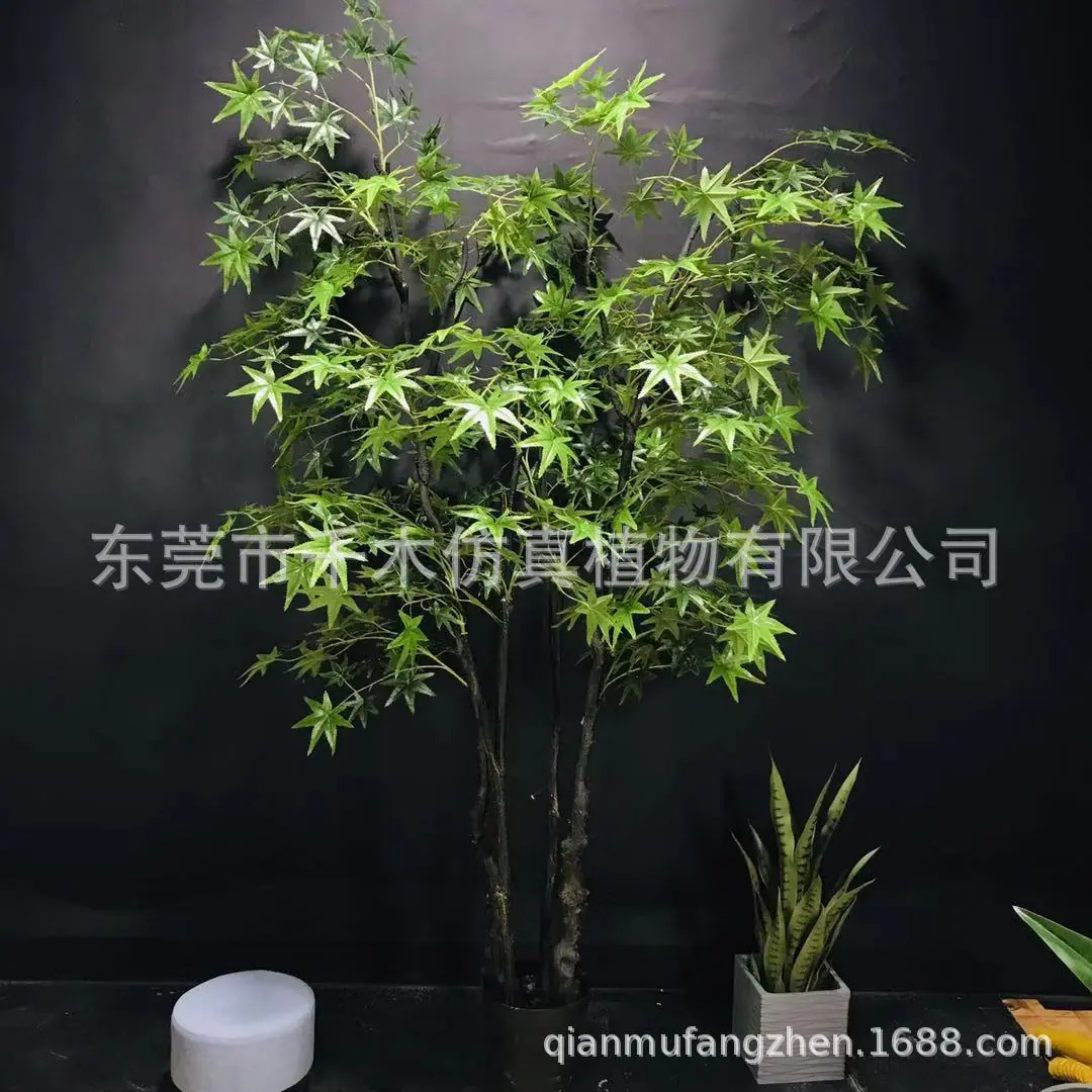 微信图片_201909281728231