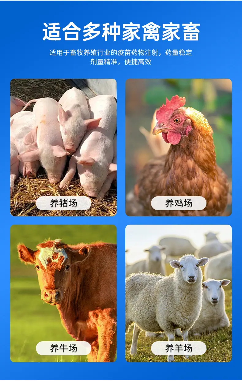 蓝色-连注详情_03.jpg