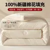 Colcha de Algodón de Xinjiang Gruesa Cálida de Invierno Colcha de Primavera y Otoño para el Hogar Individual Doble Dormitorio Estudiantil Colcha Universal para Todas las Estaciones