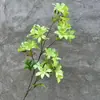 Gran Venta Flor de Simulación Orquídea de 7 Ramas Flor Falsa Flor de Seda para Decoración de Boda Flor Decorativa Artificial Arreglo de Boda Magnolia Pequeña Comercio Exterior