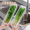 Caja de conservación de alimentos frescos, cebolleta, cilantro, raíz entera, jengibre, ajo, fideos, huevos, caja de almacenamiento para refrigerador