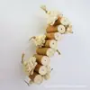Juguete para roer de loro con piel y médula de flor de carrizo común Material natural seguro Accesorios para jaula de pájaros suministros