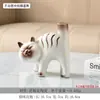 Vaso de Gato Estilo Ins Atacado ou Decorações para Sala de Estar Arranjo de Flores Mesa de Jantar Luxo Acessível Cerâmica Decorações de Flores Presente de Aniversário