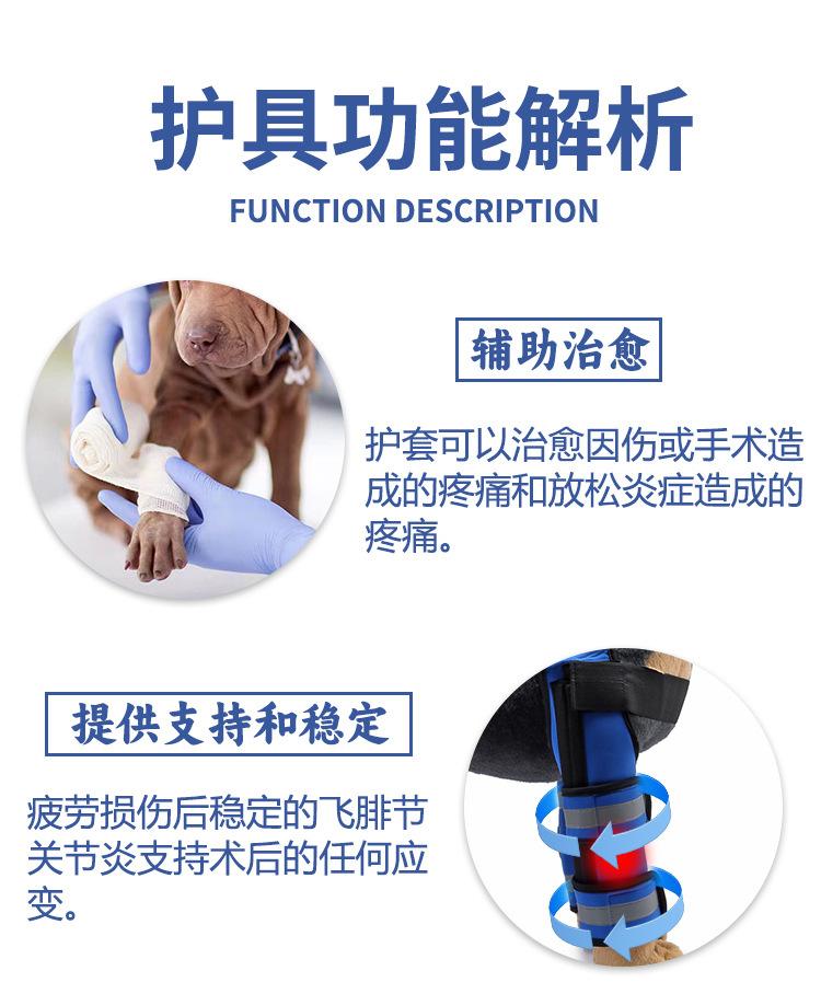 图层 8.jpg
