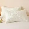 Funda de Almohada Anti-Aceite para la Cabeza 48X74 Anti-Saliva y a Prueba de Suciedad Par de Cubiertas Protectoras para el Relleno de Almohada Capa Aislante Anti-Sudor