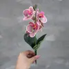 Flor artificial tela adhesiva fieltrada a mano Phalaenopsis sala de estar bonsái arreglo floral decoración decoración de porche flor de seda al por mayor flor pequeña en maceta
