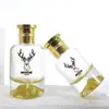 Botella dispensadora de perfume bayoneta colorida fondo volcánico botella de perfume transparente juego de botellas vacías botella con spray botella de vidrio para perfume