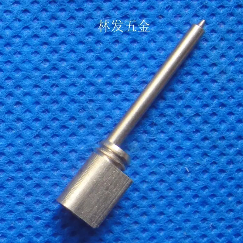 DSC04856.JPG