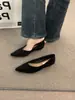 Sapatos de salto alto femininos marrons de nicho francês 2025 primavera e outono salto plataforma temperamento bico fino para o trabalho noite noite sapatos de avó