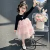 Comercio Exterior Vestido de Tul de Princesa con Encaje en Forma de Corazón Estilo Nuevo Otoño 2026 Moda Coreana Ropa Infantil al por Mayor