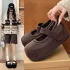 Zapatos Mary Jane de Moda con Suela Gruesa, Forro de Felpa, Corte Bajo, Aumentadores de Altura Internos, Correa Única, Estilo Coreano, Puntera Redonda, Zapatos de Algodón para Mujer, Otoño/Invierno 2026