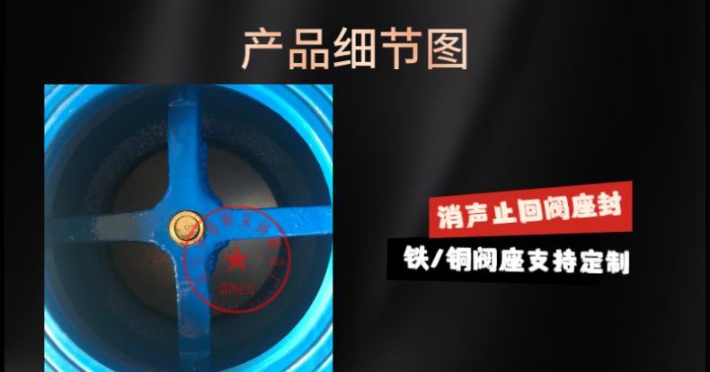 通顺详情-消声止回阀-11