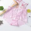 Ropa interior sexy de encaje sin costuras de cintura media popular para tallas grandes de mujer, de algodón, transparente, bragas para mujer, comercio exterior