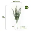 Buquê de Eucalipto de Flor Artificial Transfronteiriço, Ornamentos de Arranjo de Flores para Decoração de Casa, Adereços de Planta Verde Artificial de Folha de Dinheiro por Atacado