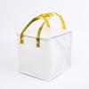 Bolsa Térmica para Bolo, Levar para Viagem Churrasco Hot Pot, Conservação Fria de Frutos do Mar, Bolsa Térmica de Grande Capacidade, Sacola Tote de Embalagem de Folha de Alumínio