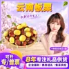 Castañas de Yunnan Seleccionadas Cuidadosamente Envío Directo 1 Jin Diámetro de Fruta Grande 2.4-2.6 cm Castañas Frescas