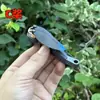 Desmontaje brazo de dron con motor sin escobillas con ESC otro avión inflable manual simulación interactiva bolsa de plástico