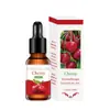 Comércio Exterior Transfronteiriço Umidificador de Óleo Essencial para Aromaterapia Pedra de Expansão Máquina de Aromaterapia Gesso Fábrica de Óleo Essencial Venda Direta de Uma Variedade de Fragrâncias Pode Ser