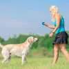 Pelota para Perro con Sonido Popular de Amazon, Espina, Resistente a Mordidas, Juguete para Mascotas Tpr Elástico, Juguete Interactivo para Perro, Pelota, Fabricante