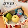 Bolsa de almuerzo portátil Tengyi original y bonita para trabajadores de oficina y estudiantes, bolsa de almuerzo de gran capacidad, bolsa de almuerzo aislante de alto valor colorido.