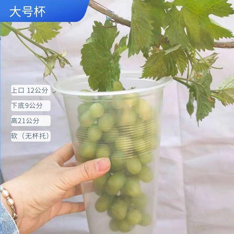 微信图片_20240313143914