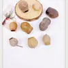Pendientes de Planta Fruta Bellota Hechos a Mano DIY Fruta Pendientes Personalizados Creativos Material Chica Linda Pendientes Retro