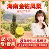 Abacaxi Diamante Dourado de Hainan Selecionado Cuidadosamente Dropshipping Pequeno Médio Grande Fruta/Caixa de Presente/Caixa Colorida/1 Fruta Fresca