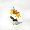 Artículo popular de comercio exterior: Planta en maceta de orquídea Phalaenopsis de 2 flores para decoración de habitaciones de hotel y casa de huéspedes, maceta en espiral flor artificial planta verde mini bonsái