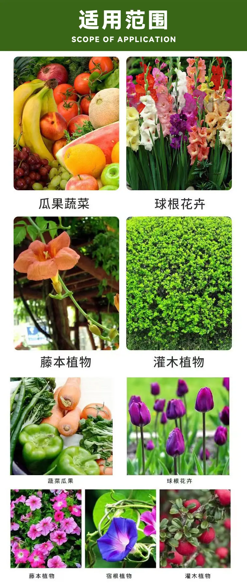 详情_07.jpg